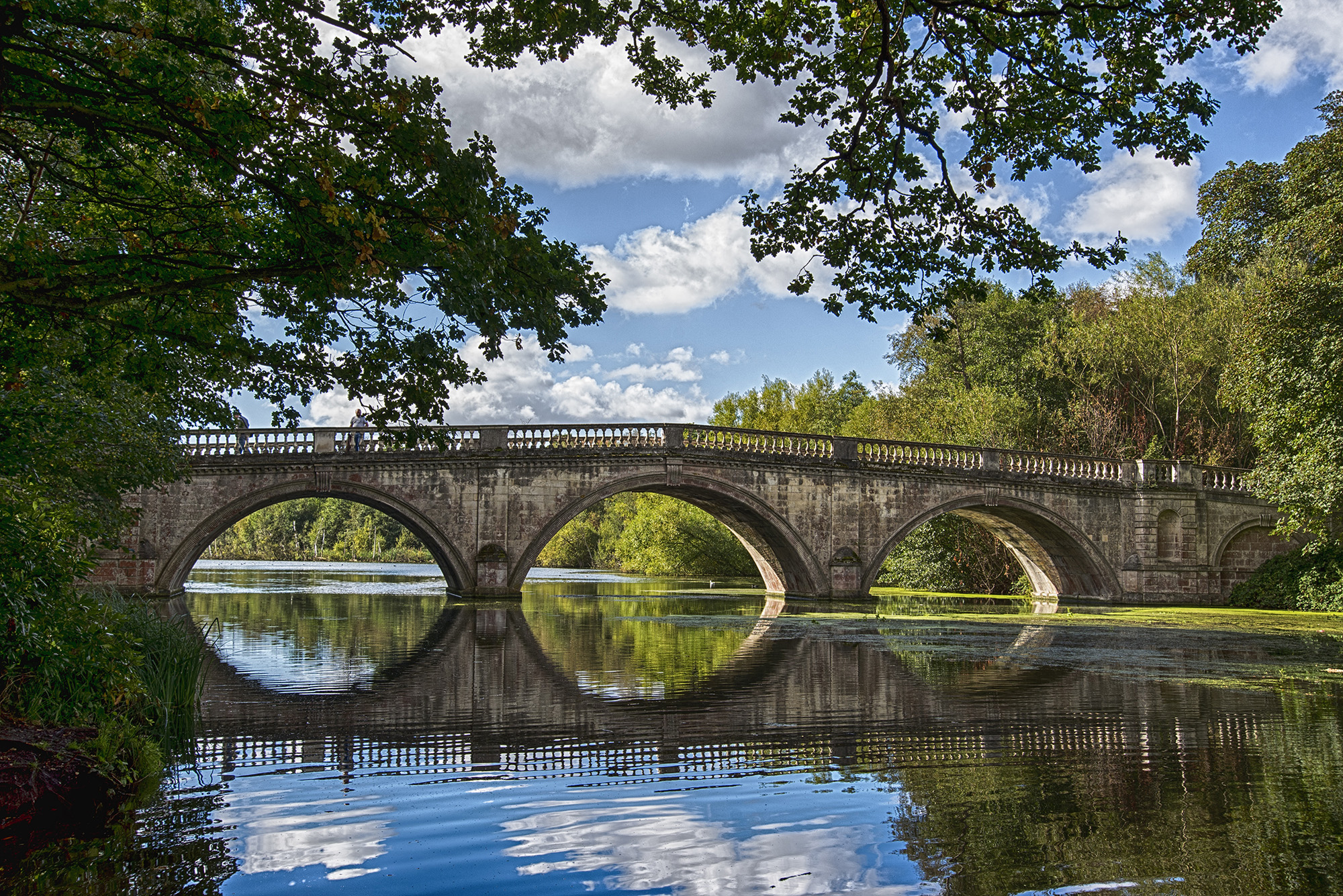 Stone bridge over water between trees